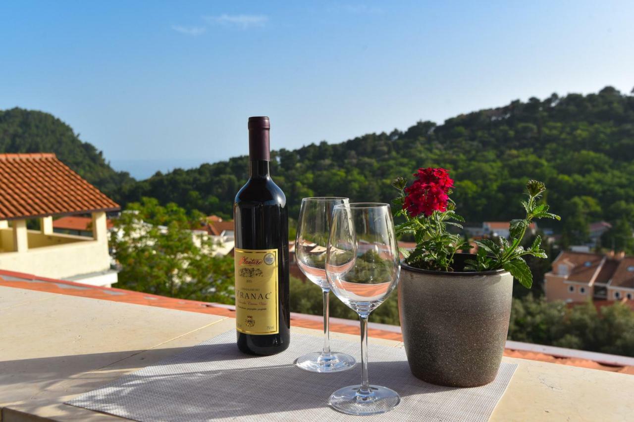 Guest House Jedro Petrovac 外观 照片